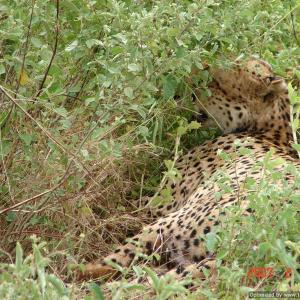 DSC05353-Optimized DSC05353-Optimized