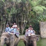 IMG_20231115_111957_183