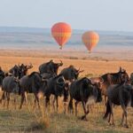 IMG_20240111_192107_828