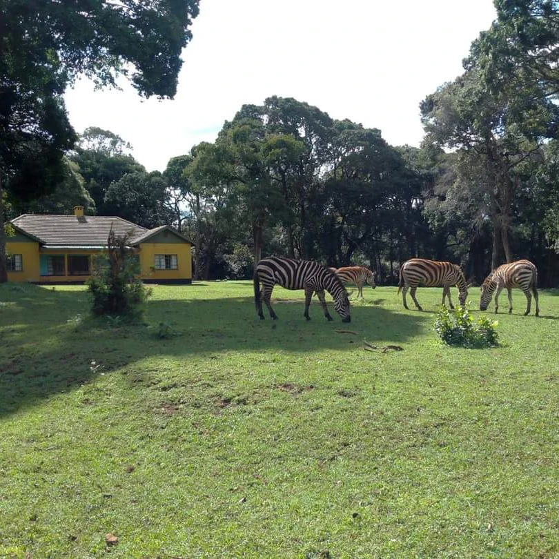 IMG_20250131_084408_468 IMG_20250131_084408_468