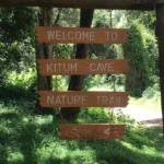 IMG_20250131_084408_558