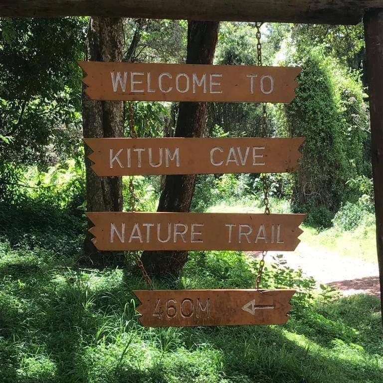 IMG_20250131_084408_558 IMG_20250131_084408_558