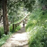 IMG_20250131_084408_624