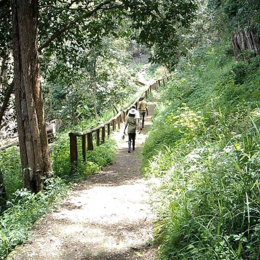 IMG_20250131_084408_624 IMG_20250131_084408_624