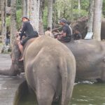 Screenshot_2024-02-03-14-27-23-321_com.facebook.katana